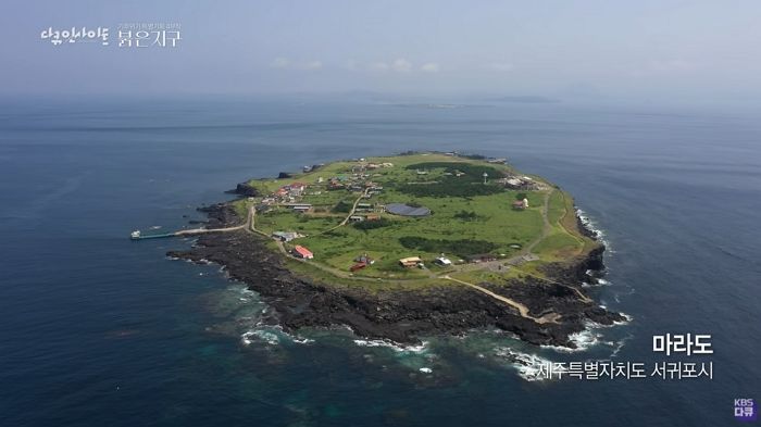 “바다가 죽고 있다”며 할머니들 모두 떠나 단 ‘7명’만 남은 마라도 해녀 (영상)