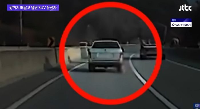 뒷좌석에 목줄 낀 강아지 매달고 시속 100km로 달린 운전자 (영상)