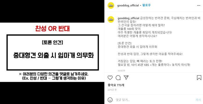 “중대형견 입마개 의무화?”...반려인들이 ‘개훌륭’에 분노 쏟아내는 이유