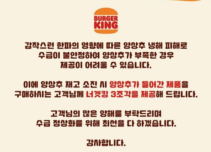 “당분간 버거킹 햄버거에서도 ‘양상추’ 사라진다”