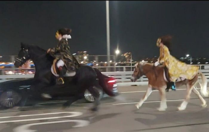 핼러윈인 오늘 새벽, 달리는 차들 옆에서 한남대교 건너가는 ‘기마군단’이 포착됐다