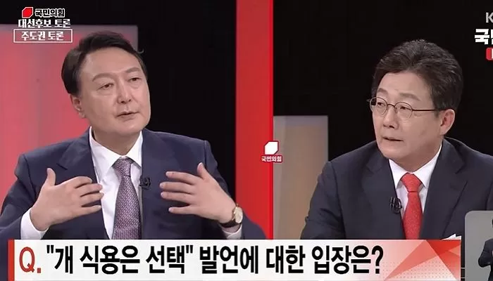 인사이트