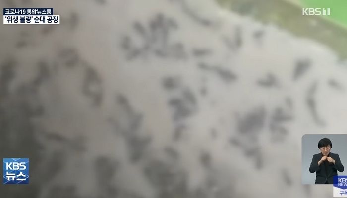 “바닥에 벌레가 우글우글”...연매출 400억 찍는 순대공장의 충격적인 위생 상태 (영상)