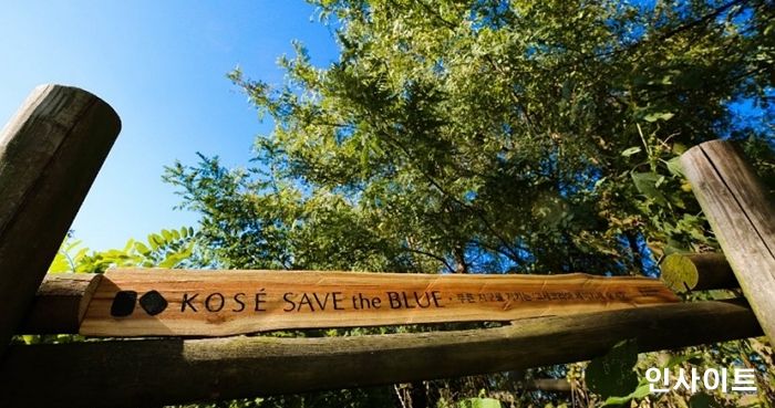 고세코리아, 건강한 지구 위해 ‘세이키세 숲 4호’ 조성