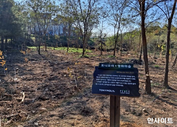 토니모리, ‘평화정원’ 조성 완료... 종이 영수증 모아 ‘숲’ 만든다