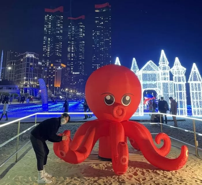 인사이트
