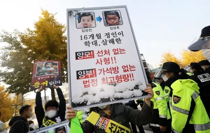 인사이트