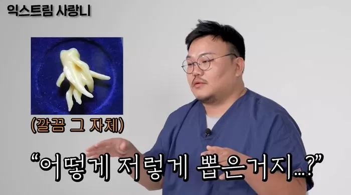 인사이트