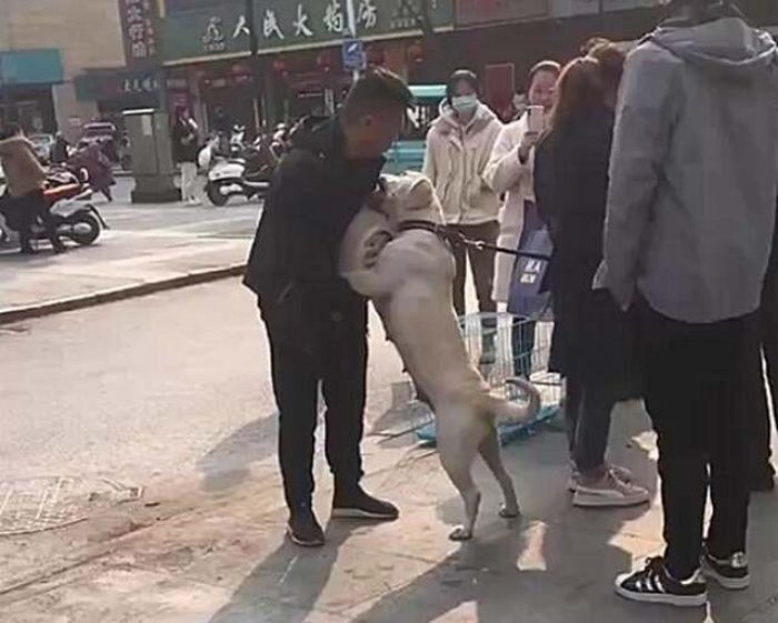 개시장서 팔려가는 새끼 ‘제발 데려가지 말라’며 매달려 애원하는 어미