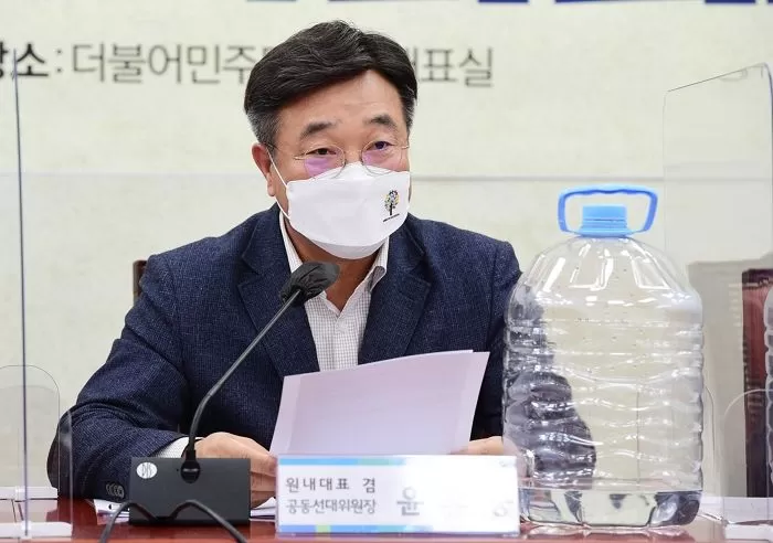 인사이트