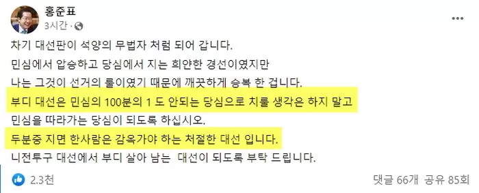 인사이트