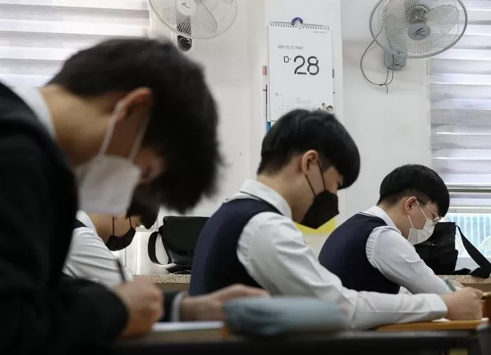 인사이트