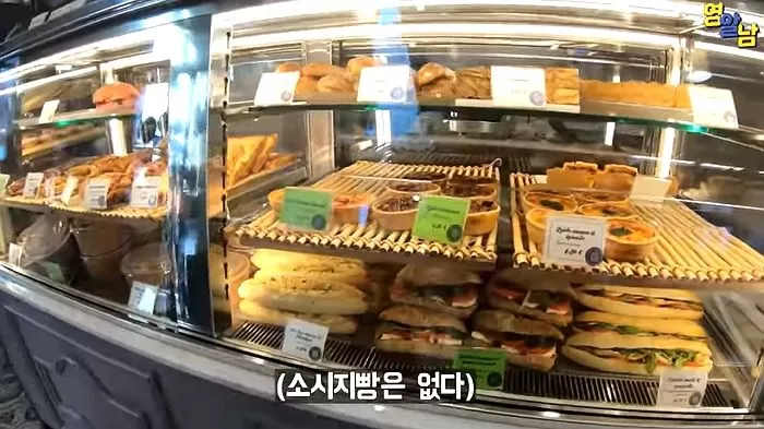 인사이트