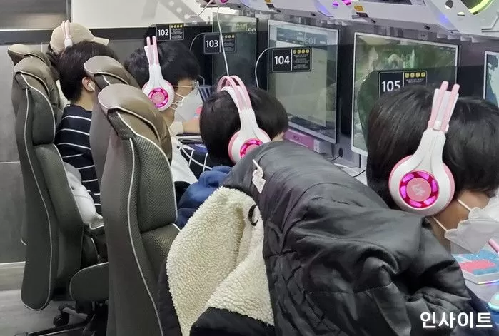 인사이트