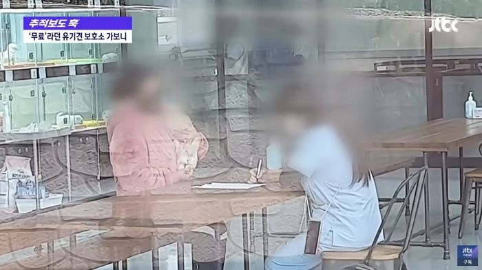 ‘무료’라고 해 방문했더니 입양비 100만원 달라는 유기견 보호소 (영상)