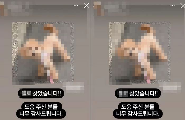 “강아지 찾으려고 시나리오 쓴 것”...반려견 실종 ‘주작녀’가 가스검침원에게 한 말