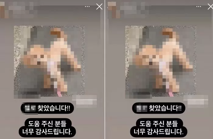 인사이트