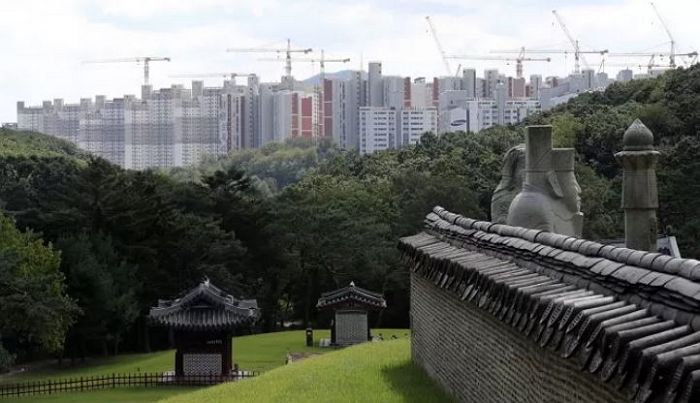 “불면증에 약까지 먹는다”...왕릉 옆 아파트 입주 예정자들의 호소에 날선 시선