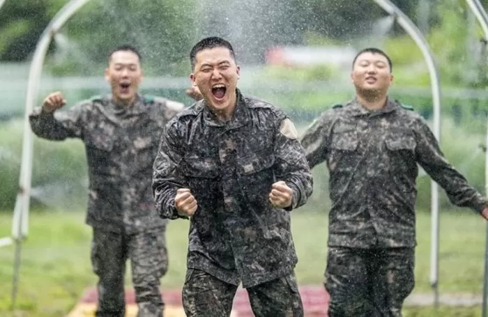 인사이트