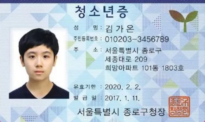 인사이트