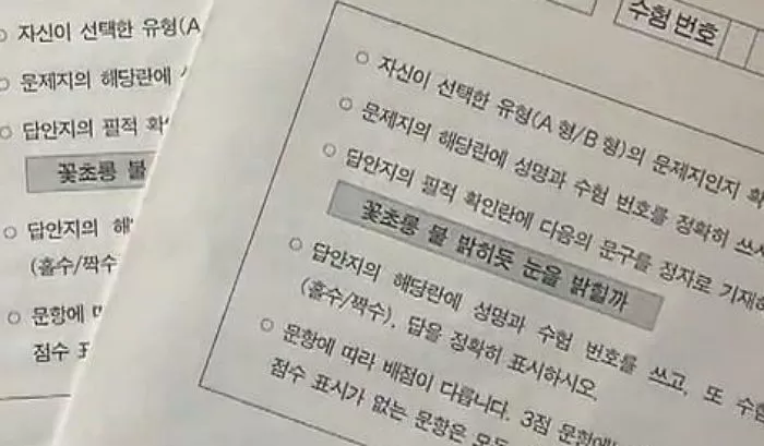 인사이트