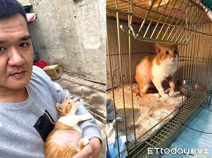 다친 ‘길고양이’ 구조했다가 18년 만에 미녀 여친 생긴 남성