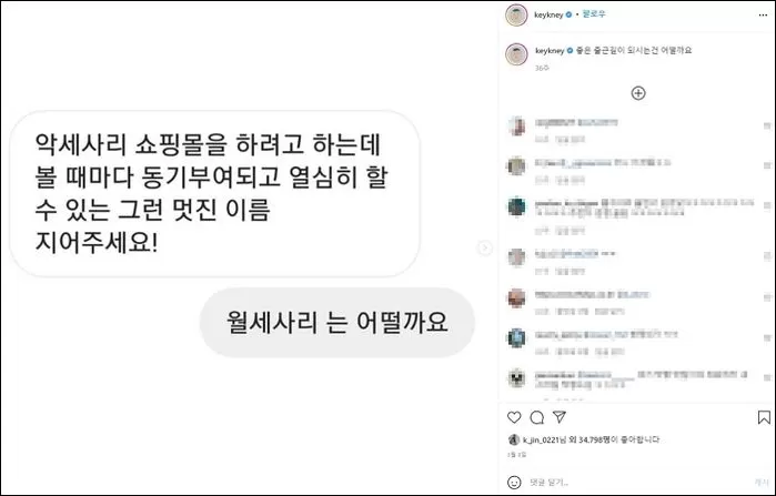 인사이트