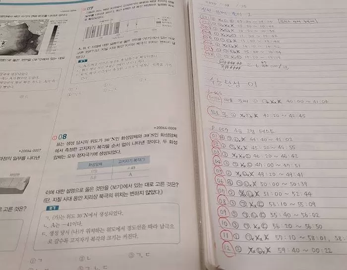 인사이트