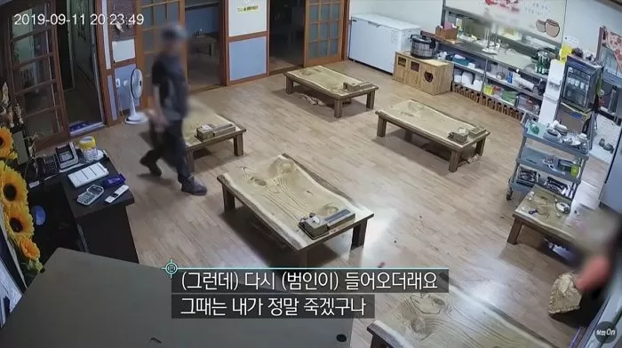 인사이트