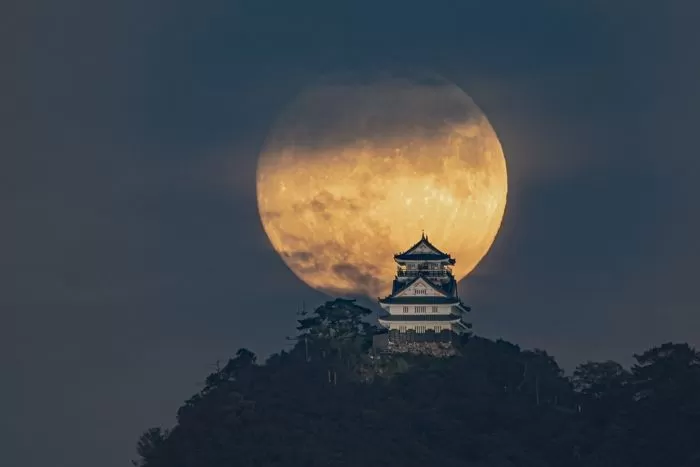 인사이트