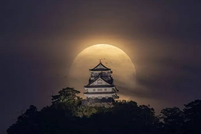 인사이트