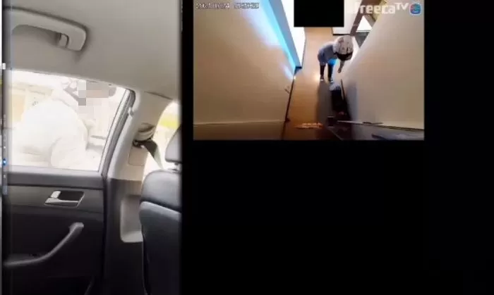 인사이트