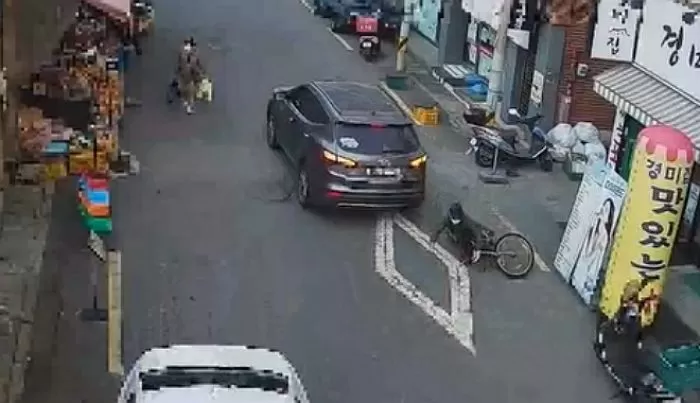 인사이트