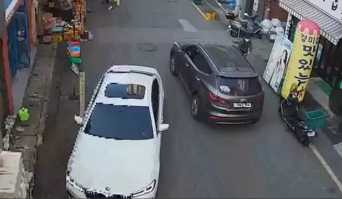 인사이트