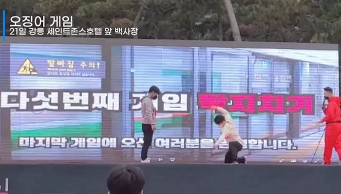 인사이트