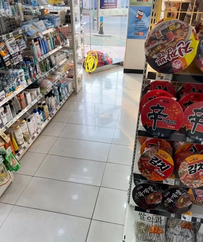 인사이트