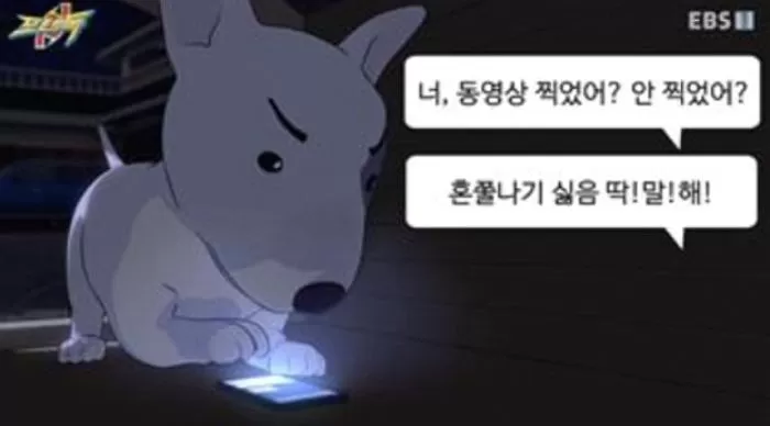인사이트