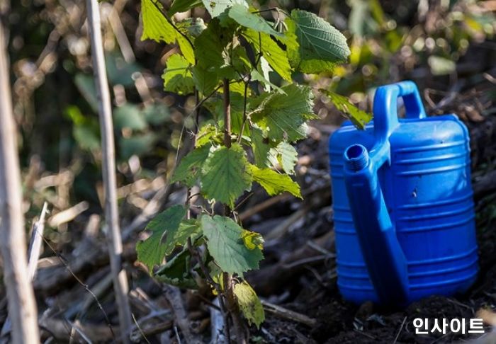 고세 그룹, 베르사유 궁전 복원 투자 등 아름다운 지구 가꾸기 실천