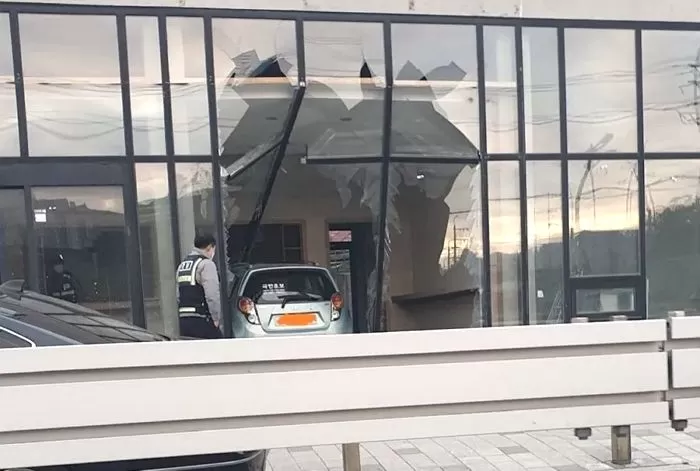 인사이트