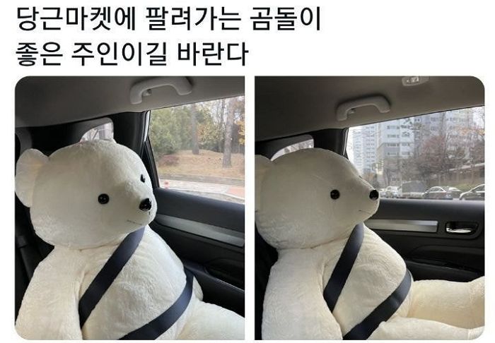당근마켓서 만난 7살 구매자와 ‘대왕 곰인형’ 거래한 판매자의 ‘쿨거래’ 후기
