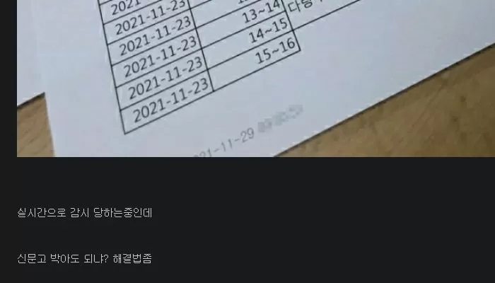 인사이트