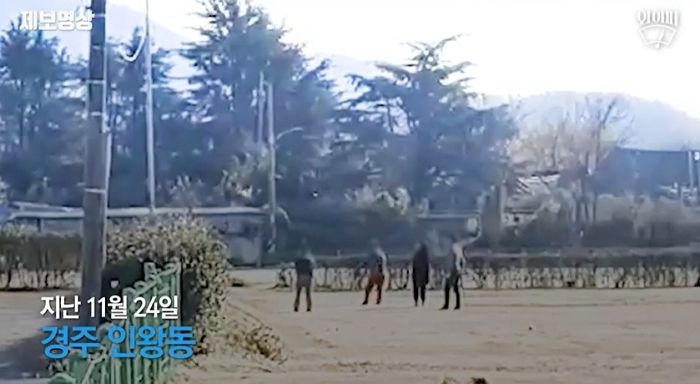 ‘신라 고분’ 앞에서 골프 스윙 연습하는 무개념 50대 커플들 (영상)