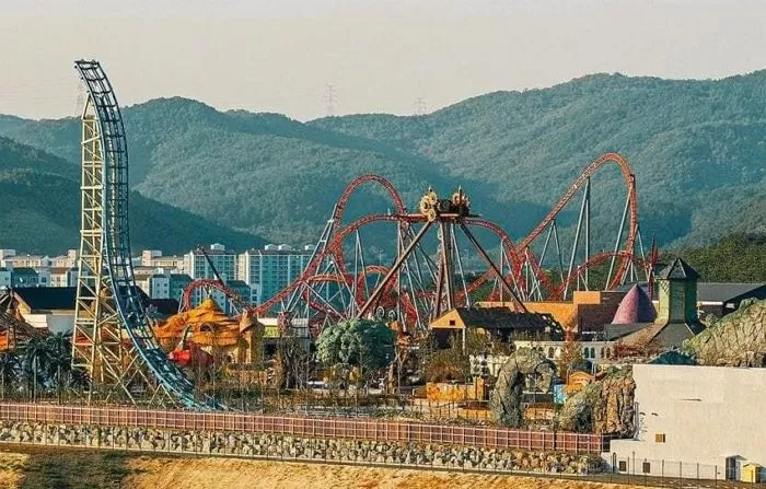 인사이트