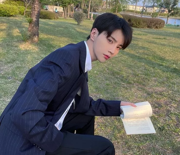 인사이트