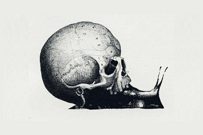 “해골 vs 달팽이 vs 지도”...먼저 보이는 그림에 따른 당신의 진짜 성격
