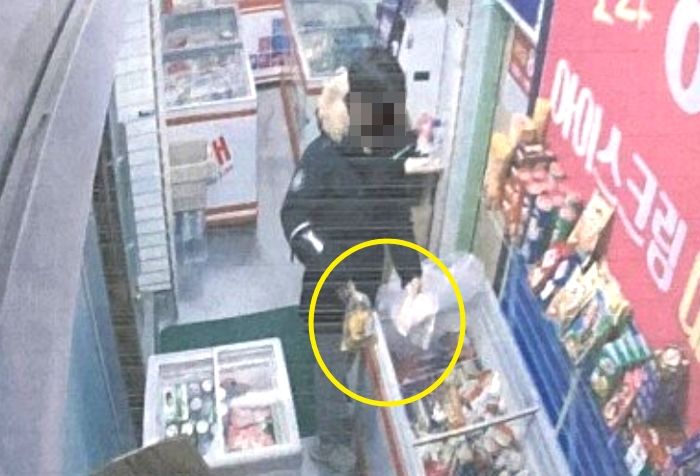 새벽 무인 아이스크림 가게 냉동고에 ‘음쓰’ 한보따리 버리고 튄 무개념 빌런