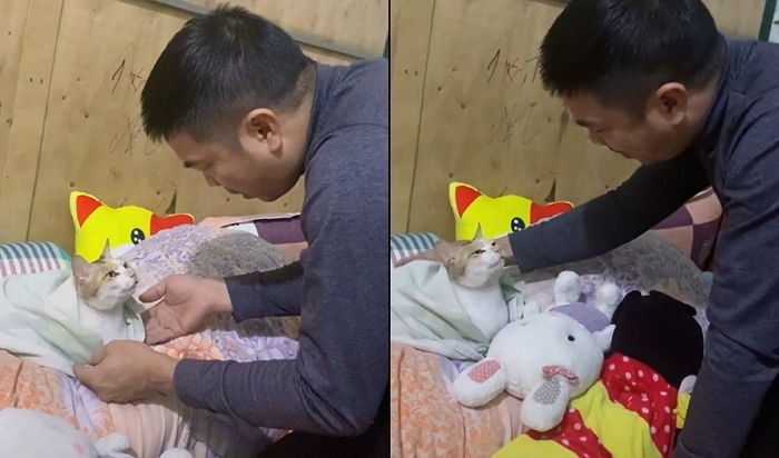 고양이 집에 데려오자마자 내다 버리라던 단호박 아빠의 일주일 뒤 변화 (영상)