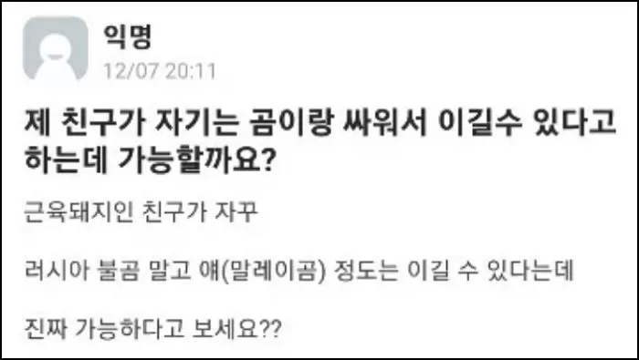 인사이트