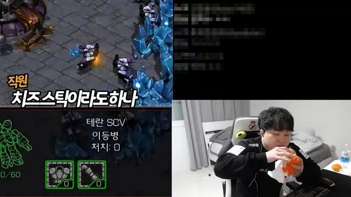 인사이트