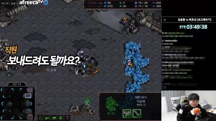 인사이트
